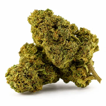 Sweet Leaf: foto real de la flor de cáñamo