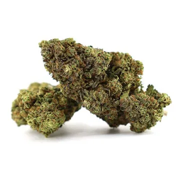 The Roxy: foto real de la flor de cáñamo